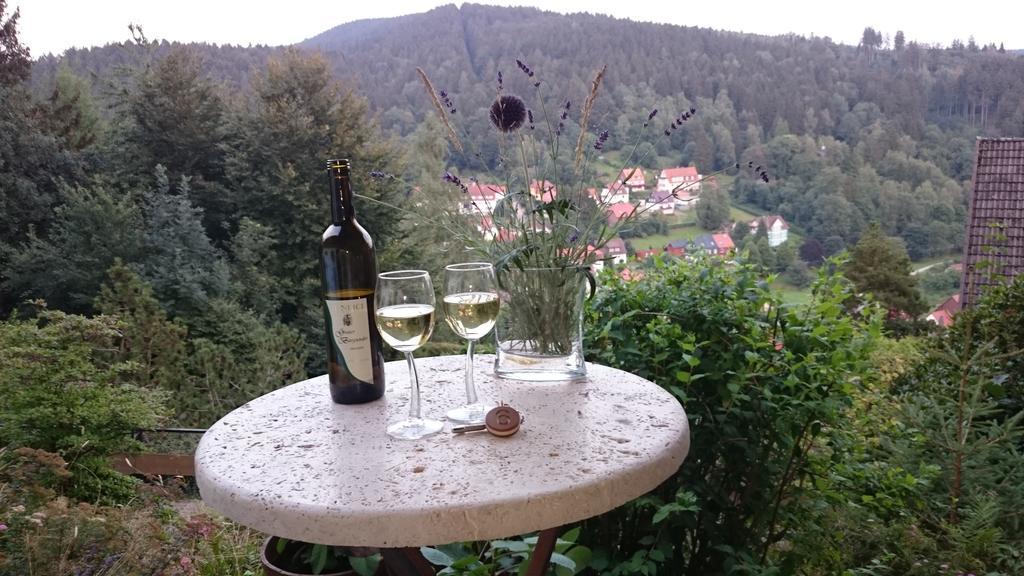 Pension Talblick Bad Grund Exterior foto