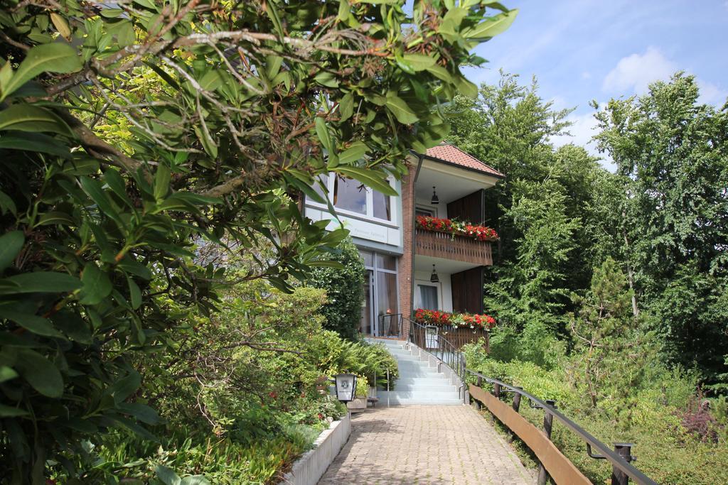 Pension Talblick Bad Grund Exterior foto