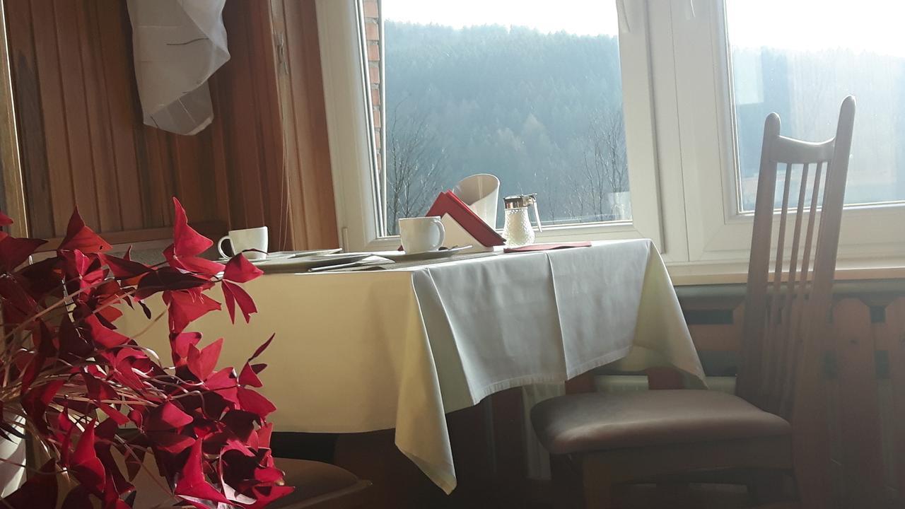 Pension Talblick Bad Grund Exterior foto
